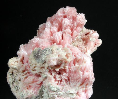 Rhodochrosite<br />Gogebic Range, Iron County, Wisconsin, USA<br />6.5 x 4.5 x 4.0 cm<br /> (Author: Don Lum)