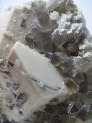 Orthoclase, Quartz<br />Pegmatites outcrop, Valdemanco, Comarca Sierra de Guadarrama, Community of Madrid, Spain<br />FOV 4 cm.<br /> (Author: prcantos)