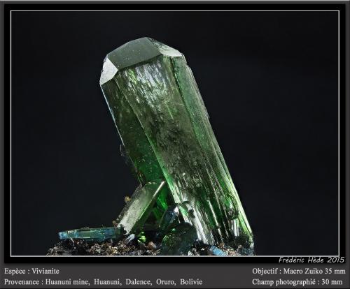 Vivianite<br />Huanuni Mine, Huanuni, Dalence Province, Oruro Department, Bolivia<br />fov 30 mm<br /> (Author: ploum)