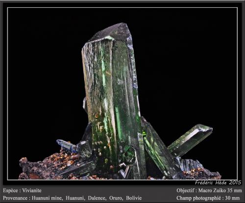 Vivianite<br />Mina Huanuni, Huanuni, Provincia Dalence, Departamento Oruro, Bolivia<br />fov 30 mm<br /> (Author: ploum)