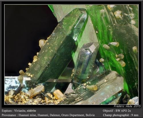 Vivianite and Siderite<br />Huanuni Mine, Huanuni, Dalence Province, Oruro Department, Bolivia<br />fov 9 mm<br /> (Author: ploum)