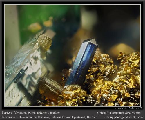 Vivianite, Pyrite, Siderite and Goethite<br />Huanuni Mine, Huanuni, Dalence Province, Oruro Department, Bolivia<br />fov 3.5 mm<br /> (Author: ploum)