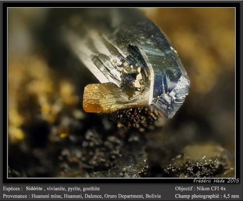 Siderite, Vivianite, Pyrite and Goethite<br />Huanuni Mine, Huanuni, Dalence Province, Oruro Department, Bolivia<br />fov 4.5 mm<br /> (Author: ploum)