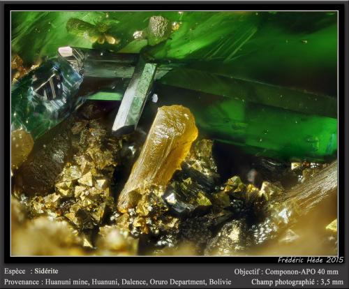 Siderite and Vivianite<br />Huanuni Mine, Huanuni, Dalence Province, Oruro Department, Bolivia<br />fov 3.5 mm<br /> (Author: ploum)