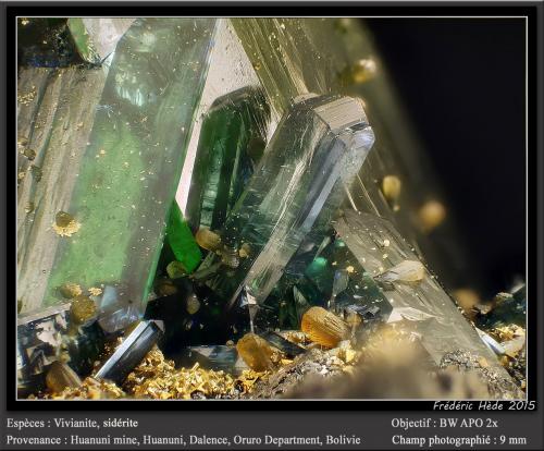 Vivianite and Siderite<br />Huanuni Mine, Huanuni, Dalence Province, Oruro Department, Bolivia<br />fov  9 mm<br /> (Author: ploum)