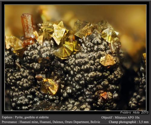 Pyrite, Goethite and Siderite<br />Huanuni Mine, Huanuni, Dalence Province, Oruro Department, Bolivia<br />fov 1.8 mm<br /> (Author: ploum)