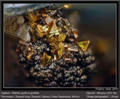 Siderite, Pyrite and Goethite<br />Huanuni Mine, Huanuni, Dalence Province, Oruro Department, Bolivia<br />fov 1.8 mm<br /> (Author: ploum)