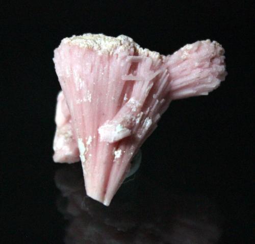 Rhodochrosite<br />Gogebic Range, Condado Iron, Wisconsin, USA<br />3.5 x 3.0 x 2.0 cm<br /> (Author: Don Lum)