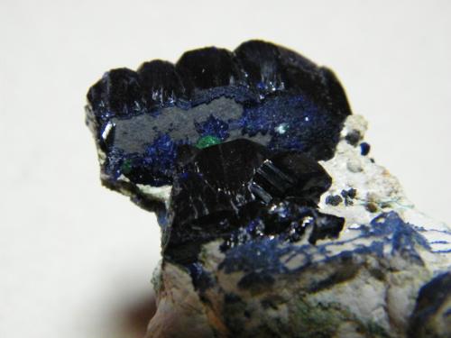 Azurite<br />Tsumeb Mine, Tsumeb, Otjikoto Region, Namibia<br />60x40mm<br /> (Author: Heimo Hellwig)