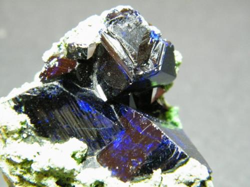 Azurite<br />Tsumeb Mine, Tsumeb, Otjikoto Region, Namibia<br />50x45mm<br /> (Author: Heimo Hellwig)