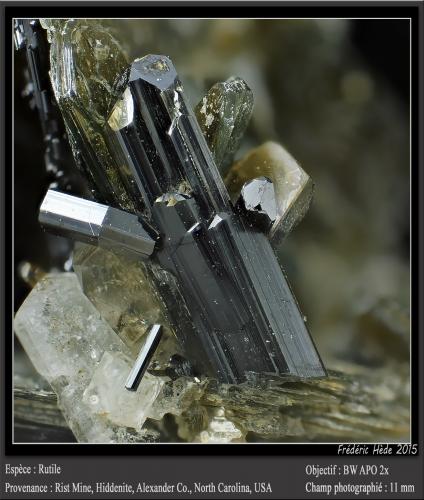 Rutile on Muscovite<br />Rist Mine, Hiddenite, Alexander County, North Carolina, USA<br />fov 11 mm<br /> (Author: ploum)