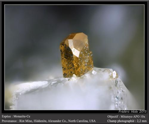 Monazite-(Ce)<br />Rist Mine, Hiddenite, Alexander County, North Carolina, USA<br />fov 2.2 mm<br /> (Author: ploum)