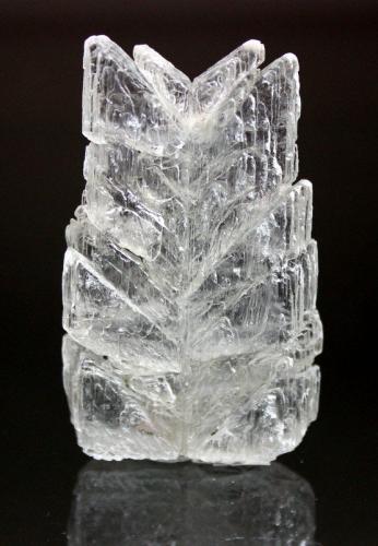 Gypsum (variety selenite)<br />Kansas, USA<br />6.8 x 4.3 x 1.4 cm<br /> (Author: Don Lum)