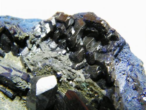 Azurite<br />Tsumeb Mine, Tsumeb, Otjikoto Region, Namibia<br />70x60mm<br /> (Author: Heimo Hellwig)