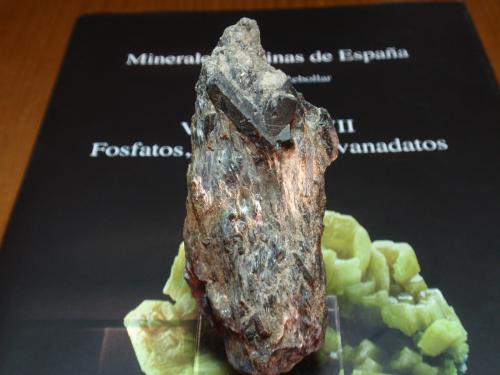 Estaurolita<br />Micaesquistos de El Palancar, El Palancar, Montejo de la Sierra, Comarca Sierra Norte, Comunidad de Madrid, España<br />35x80 mm<br /> (Autor: Ignacio)