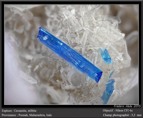 Cavansite on Stilbite<br />Pune District (Poonah District), Maharashtra, India<br />fov 5.5 mm<br /> (Author: ploum)