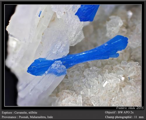 Cavansite on Stilbite<br />Pune District (Poonah District), Maharashtra, India<br />fov 11 mm<br /> (Author: ploum)