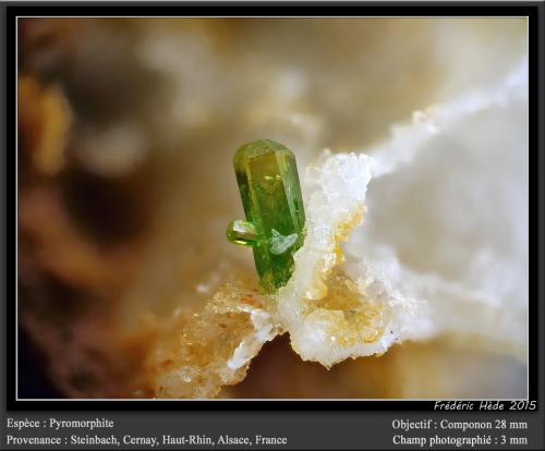 Pyromorphite<br />Steinbach, Cernay, Thann-Guebwiller, Haut-Rhin, Grand Est, Francia<br />fov 3 mm<br /> (Author: ploum)