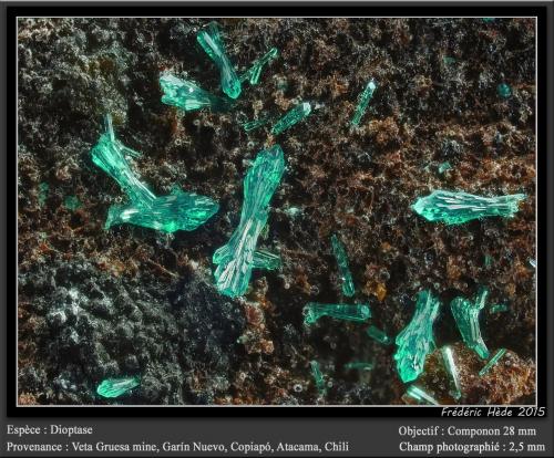 Dioptase<br />Veta Gruesa Mine, Garín Nuevo District, Copiapó Province, Atacama Region, Chile<br />fov 2.5 mm<br /> (Author: ploum)