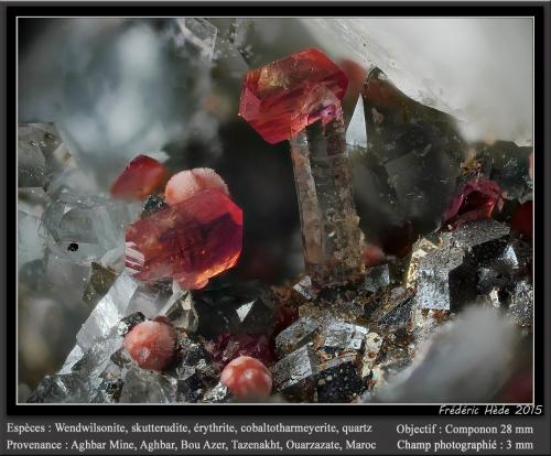 Wendwilsonite, Erythrite, Skutterudite, Cobaltlotharmeyerite, Quartz<br />Aghbar Mine (Arhbar Mine), Bou Azzer mining district, Zagora Province, Drâa-Tafilalet Region, Morocco<br />fov 3 mm<br /> (Author: ploum)