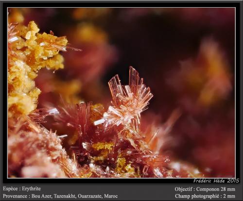 Erythrite<br />Bou Azzer mining district, Drâa-Tafilalet Region, Morocco<br />fov 2 mm<br /> (Author: ploum)