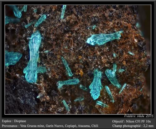Dioptase<br />Mina Veta Gruesa, Distrito Garín Nuevo, Provincia Copiapó, Región Atacama, Chile<br />fov 2.2 mm<br /> (Author: ploum)