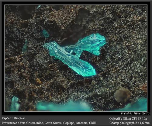 Dioptase<br />Veta Gruesa Mine, Garín Nuevo District, Copiapó Province, Atacama Region, Chile<br />fov 1.6 mm<br /> (Author: ploum)