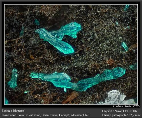 Dioptase<br />Veta Gruesa Mine, Garín Nuevo District, Copiapó Province, Atacama Region, Chile<br />fov 2.2 mm<br /> (Author: ploum)