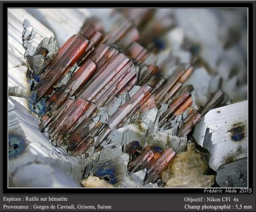 Rutile on Hematite<br />Cavradi, Curnera Valley, Tujetsch (Tavetsch), Vorderrhein Valley, Grischun (Grisons; Graubünden), Switzerland<br />fov 5.5 mm<br /> (Author: ploum)