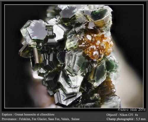 Clinochlore and Grossular (variety hessonite)<br />Felskinn, Glaciar Fee, Saas Fee, Valle Saas, Zermatt - Saas Fee, Wallis (Valais), Suiza<br />fov 5.5 mm<br /> (Author: ploum)
