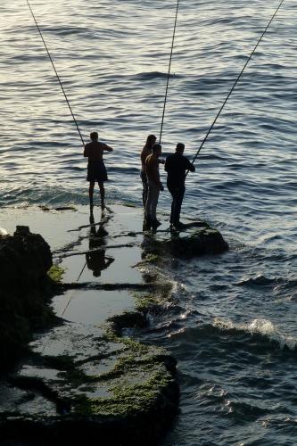 _Fishermen on the corniche at sunset. (Author: Fiebre Verde)