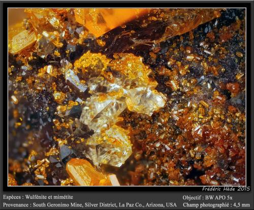Wulfenite and Mimetite on Quartz<br />Mina South Geronimo, Distrito Silver, Montes Trigo, Condado La Paz, Arizona, USA<br />fov 4.5 mm<br /> (Author: ploum)