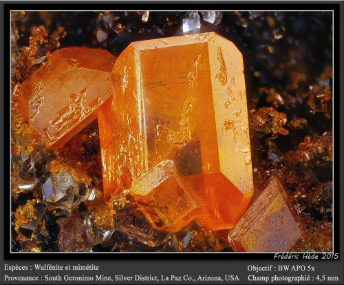 Wulfenite and Mimetite<br />Mina South Geronimo, Distrito Silver, Montes Trigo, Condado La Paz, Arizona, USA<br />fov 4.5 mm<br /> (Author: ploum)