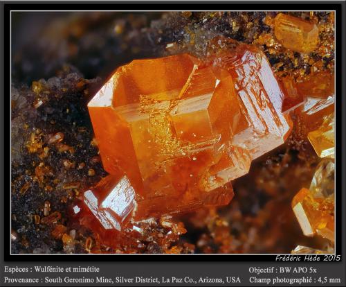 Wulfenite and Mimetite<br />Mina South Geronimo, Distrito Silver, Montes Trigo, Condado La Paz, Arizona, USA<br />fov 4.5 mm<br /> (Author: ploum)