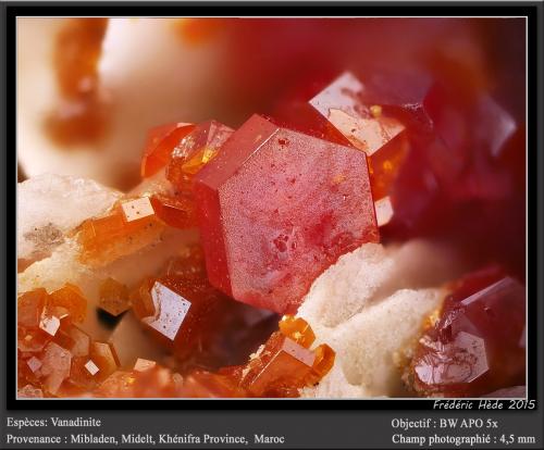 Vanadinite on Barite<br />Mibladen (Mibladen mining district), Midelt, Midelt Province, Drâa-Tafilalet Region, Morocco<br />fov 4.5 mm<br /> (Author: ploum)