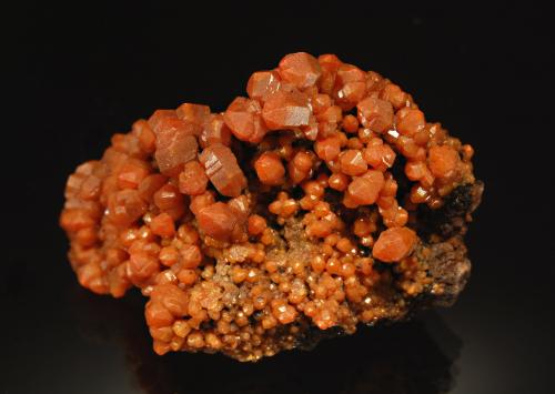 Vanadinite<br />Mina J.C. Holmes, Zona Temporal Gulch, Patagonia, Distrito Wrightson, Montes Santa Rita, Santa Cruz County, Arizona, USA<br />3.7 x 5.7 cm<br /> (Author: crosstimber)