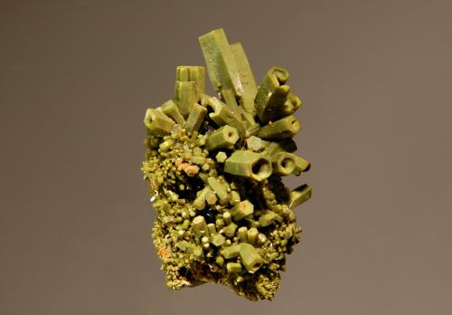 Pyromorphite<br />Mina Sherman, Burke, Distrito Coeur d'Alene, Condado Shoshone, Idaho, USA<br />1.5 x 2.7 cm<br /> (Author: crosstimber)