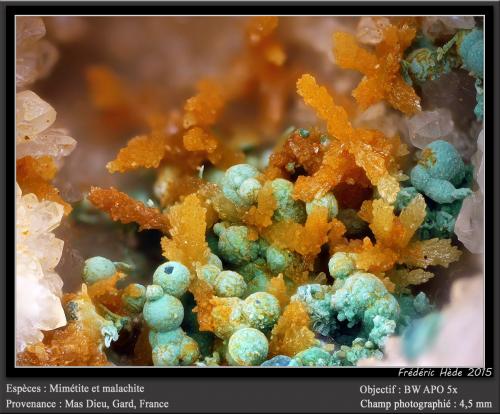 Mimetite and Malachite<br />Mas Dieu, Mercoirol, Alès, Gard, Occitanie, France<br />fov 4.5 mm<br /> (Author: ploum)