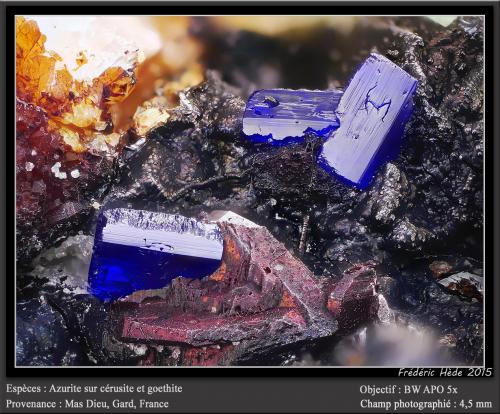 Azurite on Cerusite and Goethite<br />Mas Dieu, Mercoirol, Alès, Gard, Occitanie, France<br />fov 4.5 mm<br /> (Author: ploum)