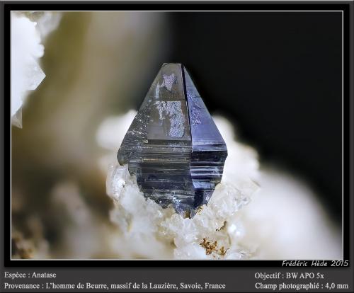 Anatase<br />L'Homme de Beurre, Macizo La Lauzière, Saint-Jean-de-Maurienne, Saboya, Auvergne-Rhône-Alpes, Francia<br />fov 4 mm<br /> (Author: ploum)