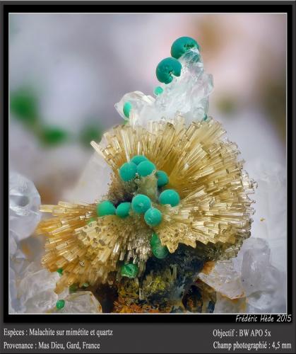 Mimetite, Malachite and Quartz<br />Mas Dieu, Mercoirol, Alès, Gard, Occitanie, France<br />fov 4.5 mm<br /> (Author: ploum)