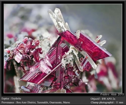 Erythrite with Quartz<br />Distrito minero Bou Azzer, Región Drâa-Tafilalet, Marruecos<br />fov 11 mm<br /> (Author: ploum)