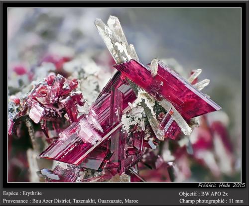 Erythrite with Quartz<br />Bou Azzer mining district, Drâa-Tafilalet Region, Morocco<br />fov 11 mm<br /> (Author: ploum)