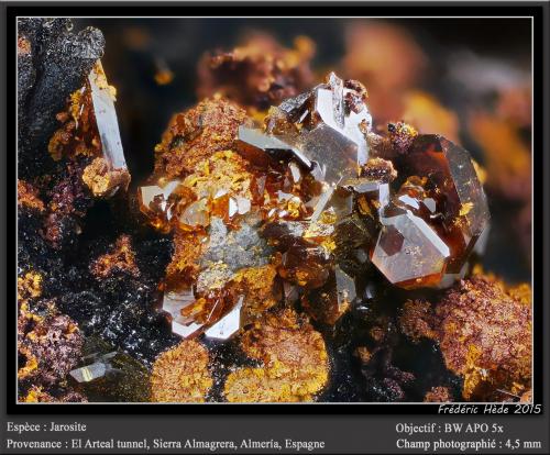 Jarosite<br />Socavón Santa Bárbara (El Arteal Tunnel), Almagrera Range, Cuevas del Almanzora, Comarca Levante Almeriense, Almería, Andalusia, Spain<br />fov 4.5 mm<br /> (Author: ploum)