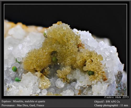 Mimetite, Malachite and Quartz<br />Mas Dieu, Mercoirol, Alès, Gard, Occitanie, France<br />fov 11 mm<br /> (Author: ploum)