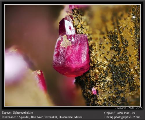 Spherocobaltite<br />Minas Agoudal, Tansifite, Agdz, distrito minero Bou Azzer, Provincia Zagora, Región Drâa-Tafilalet, Marruecos<br />fov 2 mm<br /> (Author: ploum)