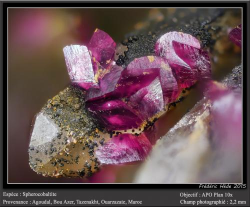 Spherocobaltite on Quartz<br />Agoudal Mines, Tansifite, Agdz, Bou Azzer mining district, Zagora Province, Drâa-Tafilalet Region, Morocco<br />fov 2.2 mm<br /> (Author: ploum)