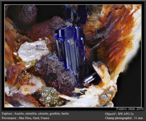 Azurite, Cerussite, Mimetite, Goethite, Barite<br />Mas Dieu, Mercoirol, Alès, Gard, Occitanie, France<br />fov 11 mm<br /> (Author: ploum)