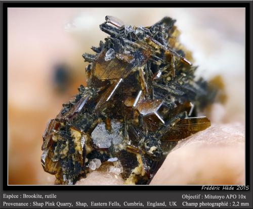 Brookite and Rutile<br />Shap Pink Quarry, Shap, Eastern Fells, former Cumberland, Cumbria, England / United Kingdom<br />fov 2.2 mm<br /> (Author: ploum)