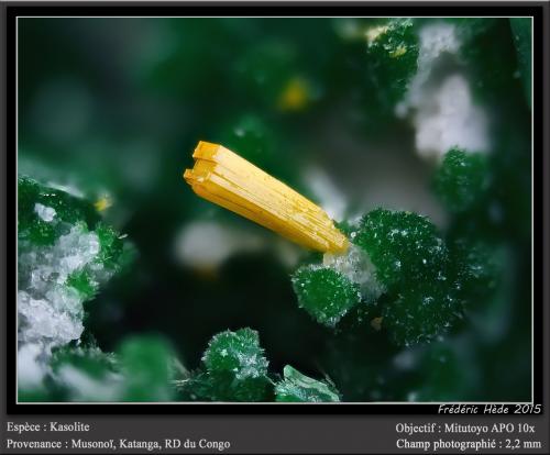 Kasolite and Malachite<br />Democratic Republic of the Congo (Zaire)<br />fov 2.2 mm<br /> (Author: ploum)